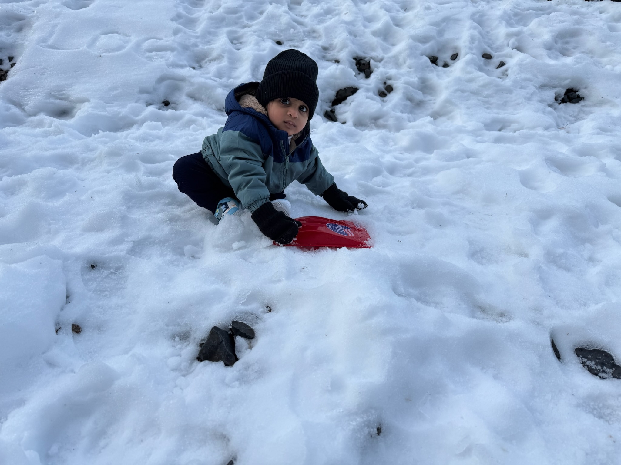 Avyan's Photo 13